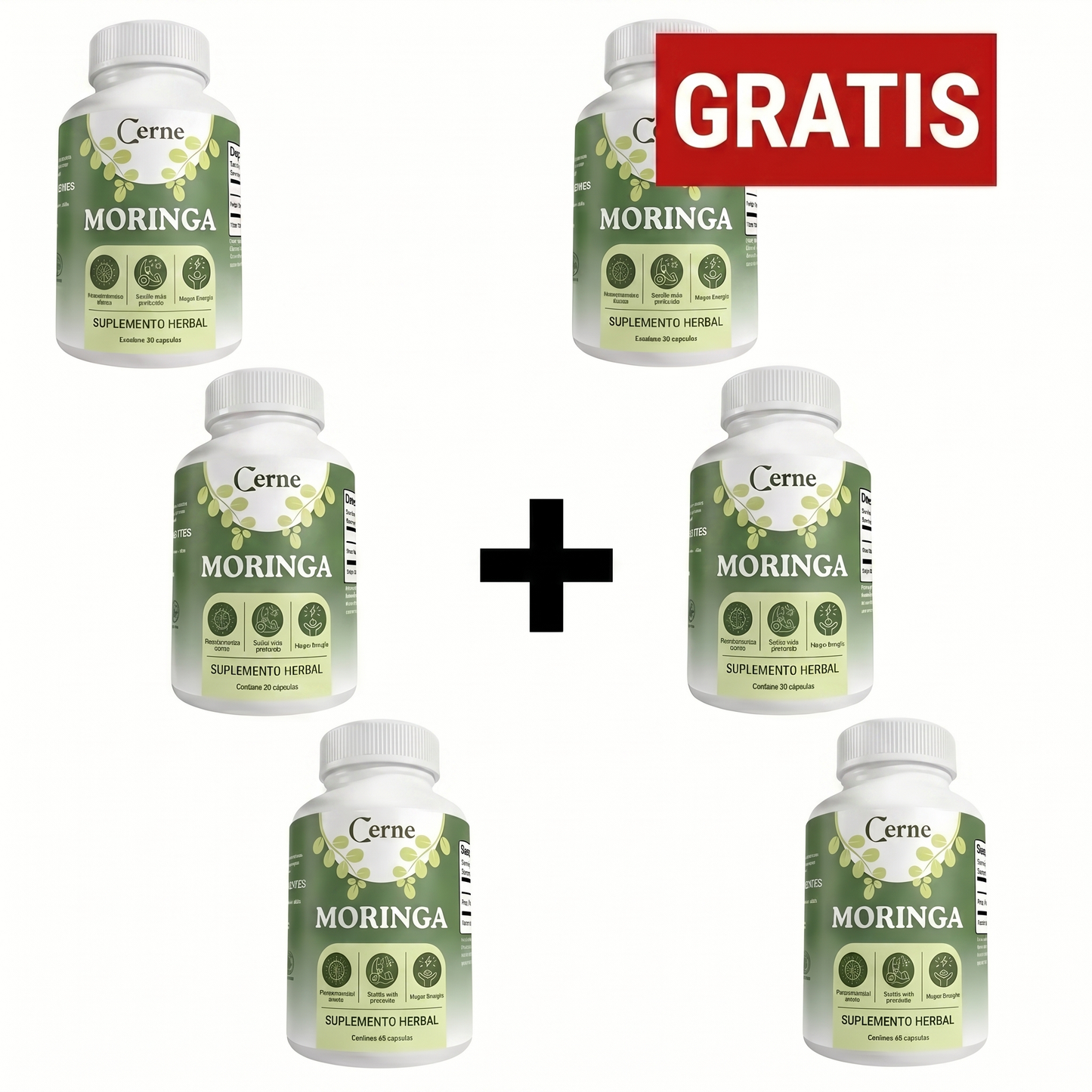 Cerne Moringa